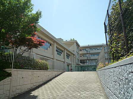横浜市立青木小学校　360m　徒歩5分。小学校が近いのは子育てファミリーにもおすすめのポイントです。 