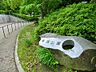 周辺：早渕公園　450m　雑木林に囲まれ、気軽に森林浴気分が味わえる敷地の広い公園。多目的広場では野球などができます。 