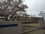 取手市立取手西小学校まで862m