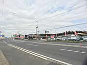 ジョイフル本田荒川沖店まで698m