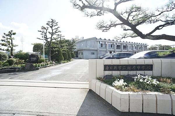 周辺を拡大表示