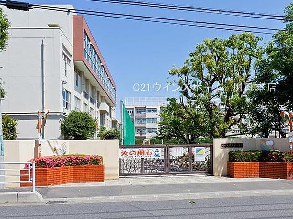 周辺を拡大表示