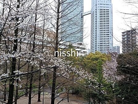 春にはサクラが望めます(2025.3撮影)