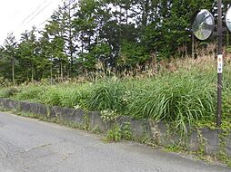 物件画像 勝山土地