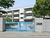 川口市立中居小学校まで990m