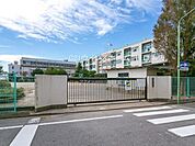 川口市立元郷小学校まで560m