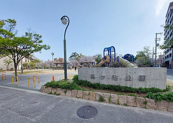周辺を拡大表示