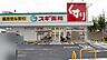 周辺：スギ薬局加美北店まで609m