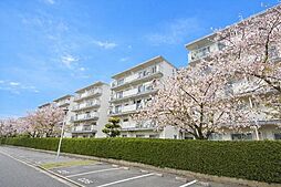 物件画像 高洲3丁目住宅10号棟