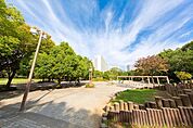 夏の雲公園まで2039m