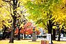 周辺：板橋区平和公園まで864m