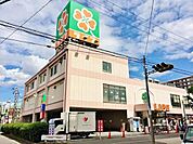 ライフ八尾竹渕店まで338m
