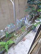 ★採光あります★
