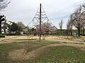太子橋中公園ま...