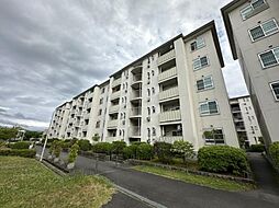 物件画像 藤阪ハイツD6棟