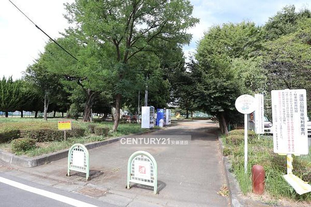 Image 12