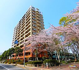 物件画像 ダイアパレスつくば学園都市