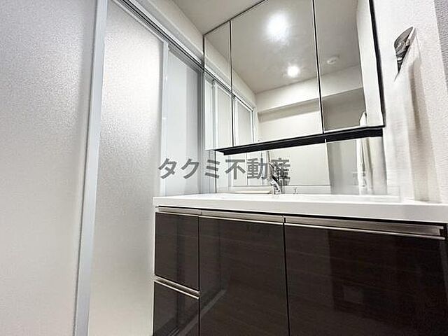 洗面 サンミットひたち野東ステーションフロント 10階/-