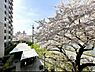 その他：現地共用部には桜の木が植えられており、4月頃には新しい春の訪れを美しいピンクの桜たちが知らせてくれます。週末にはご親族を集めてお花見を楽しみ、その後リビングで集まって談笑など如何でしょうか？