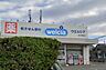 周辺：ウエルシア泉大津寿店まで750m