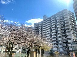 物件画像 フェルティ・メイツ泉ヶ丘1番館