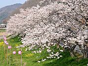 鈴の宮公園まで1500m