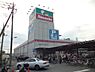 周辺：島忠　草加店まで767m、島忠　草加店767m(徒歩10分)