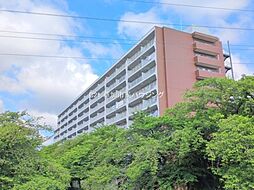 物件画像 草加松原ハイツ　A棟