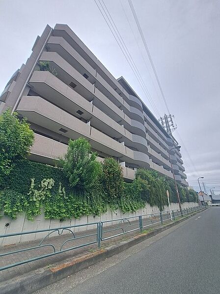 実際に室内をご見学頂くと生活のイメージが広がります。家具を置いたイメージや窓からの景色など、現地で体感ください。