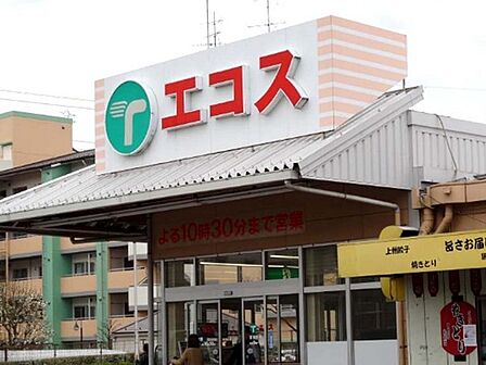 エコスTAIRAYA川鶴店まで650m