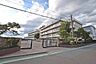 周辺：川越市立中央小学校まで1380m