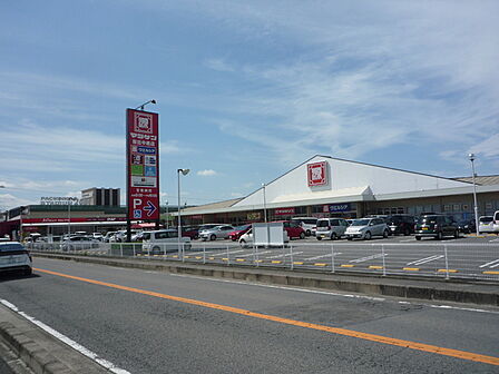 ウエルシア岩出中黒店まで1603m