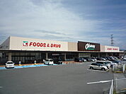 オークワ岩出西店まで1325m