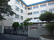 和歌山市立八幡台小学校まで1301m