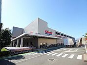 コストコホールセール　座間倉庫店まで約700m