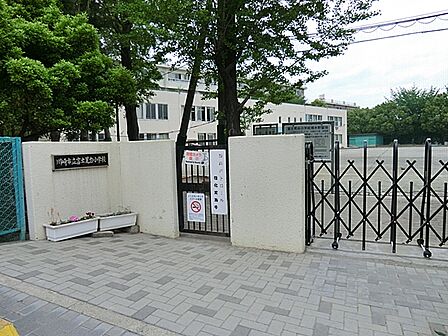川崎市立富士見台小学校 距離約250m