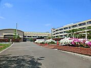 川崎市立柿生小学校まで約700m