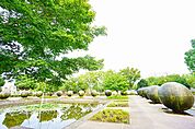厚木中央公園　距離約1300m