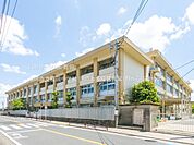 川崎市立稲田中学校 1900m