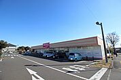 ダイソー　スーパーアルプス城山店　距離約1300m