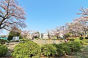 南つくし野さくら公園　距離約160m