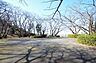 周辺：いろは坂桜公園　距離約650m