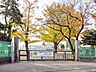 周辺：大和市立大和小学校まで約250m