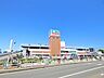 周辺：島忠　海老名店まで約1300m