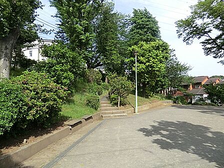 津田山公園 距離約1400m