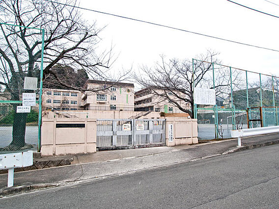 町田市立三輪小...