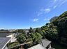 周辺：緑に囲まれた住宅街を望む眺望