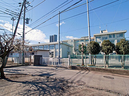 相模原市立谷口中学校 距離約1100m