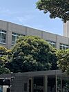 私立武蔵大学まで1387m