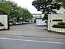 周辺：八王子市立川口中学校まで191m